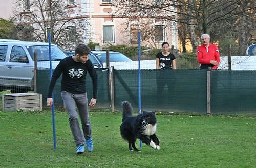 2015-p-11-161.jpg
