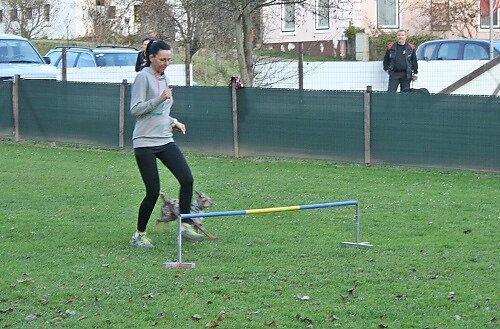 2015-p-11-174.jpg