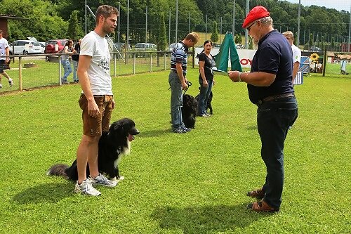 2015-p-06-091.jpg