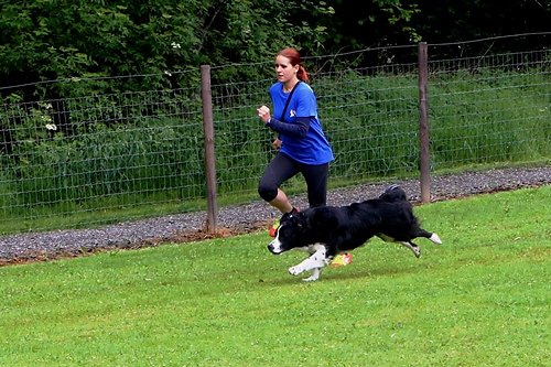 2015-t-05-061.jpg