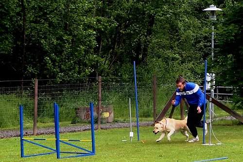 2015-t-05-068.jpg
