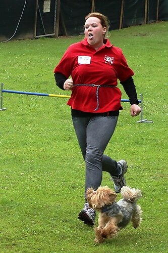2015-t-05-154.jpg