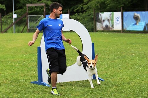2015-t-05-309.jpg