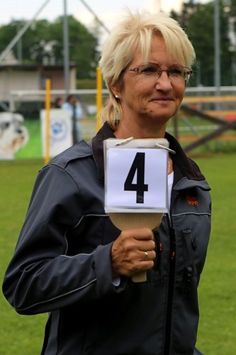 2015-t-05-341.jpg