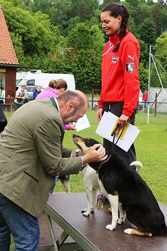 2015-t-05-430.jpg