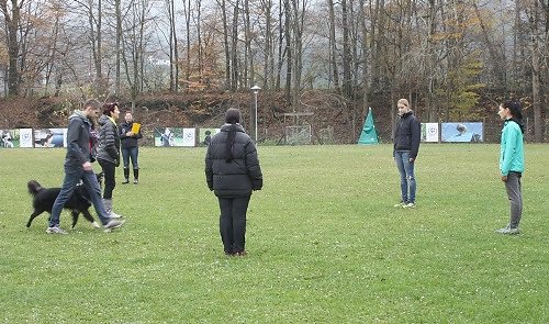 2014-p-11-020.jpg