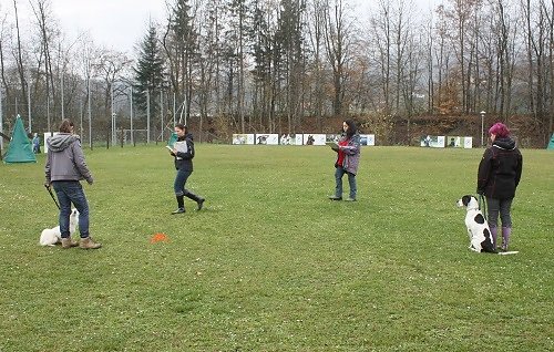 2014-p-11-023.jpg
