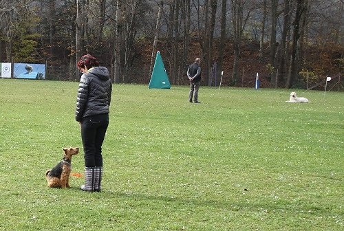 2014-p-11-050.jpg