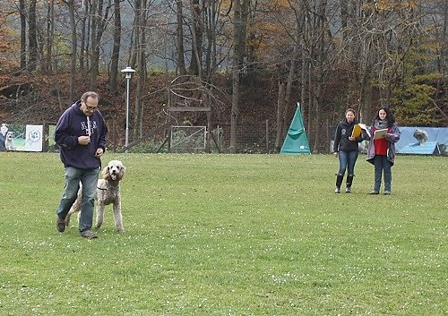 2014-p-11-054.jpg