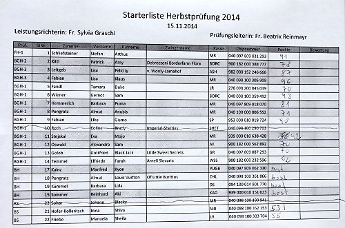 2014-p-11-080.jpg