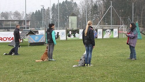 2014-p-11-003.jpg