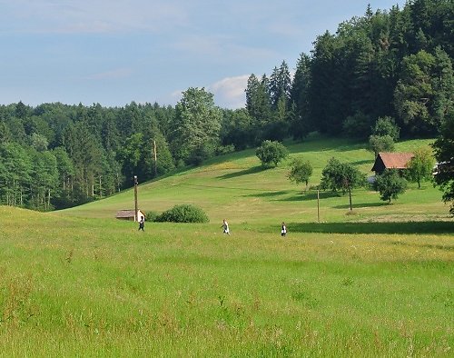 2014-p-06-013.jpg