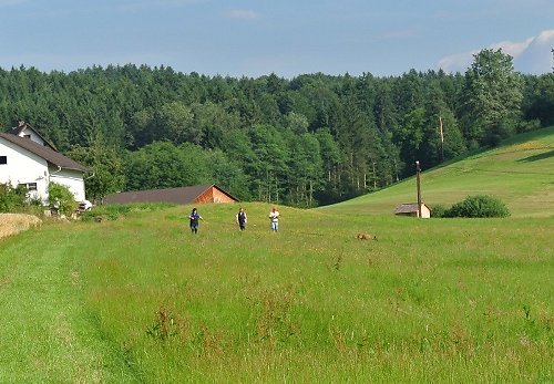 2014-p-06-024.jpg