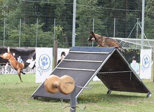 2014-p-06-027.jpg