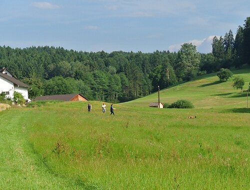 2014-p-06-035.jpg