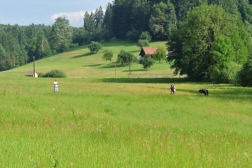 2014-p-06-046.jpg