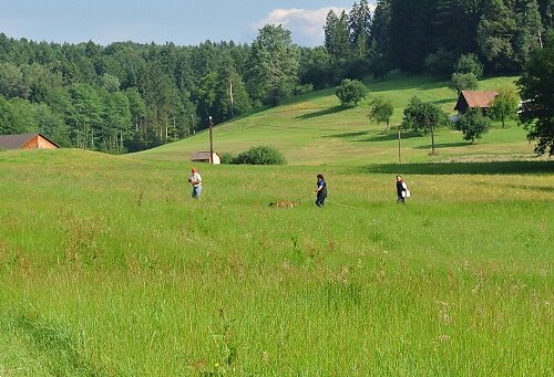 2014-p-06-054.jpg