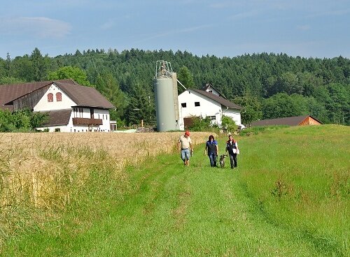 2014-p-06-055.jpg