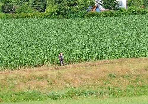 2014-p-06-059.jpg