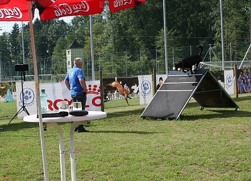 2014-p-06-062.jpg