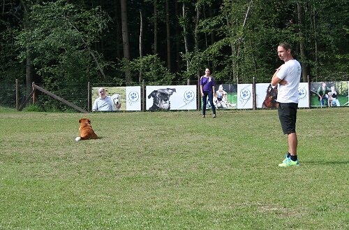 2014-p-06-066.jpg