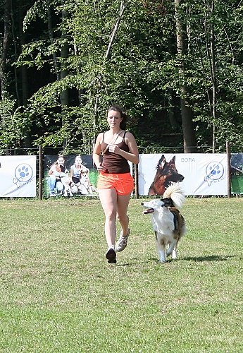 2014-p-06-080.jpg