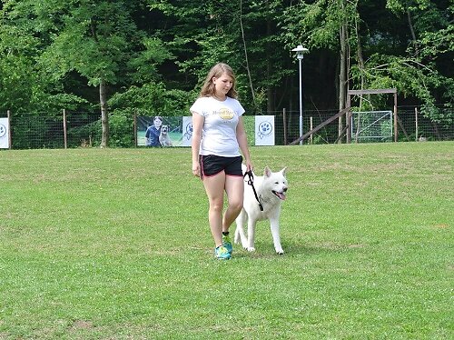 2014-p-06-100.jpg