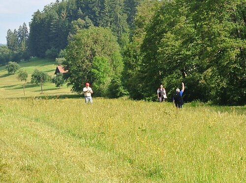 2014-p-06-103.jpg