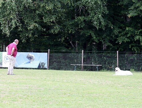 2014-p-06-143.jpg