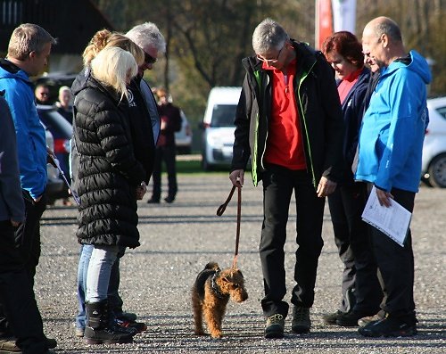 2013-p-11-032.jpg