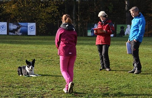 2013-p-11-035.jpg