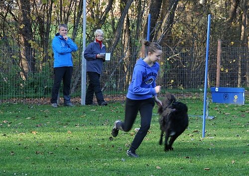 2013-p-11-040.jpg