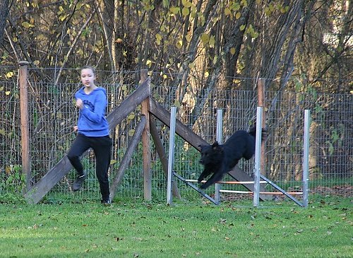 2013-p-11-050.jpg