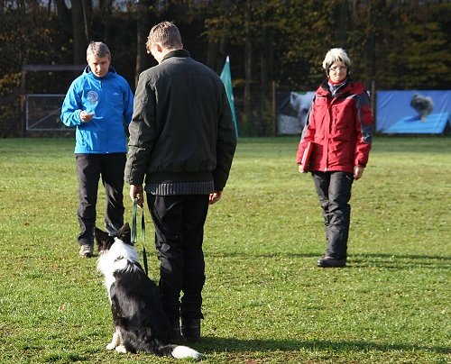 2013-p-11-098.jpg