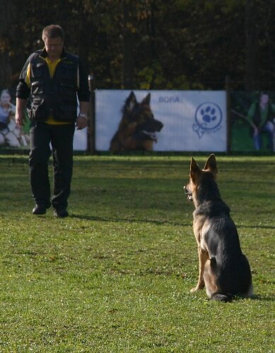 2013-p-11-125.jpg