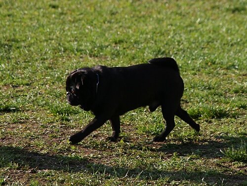 2013-p-11-127.jpg