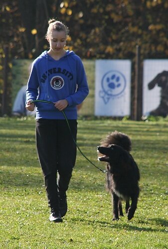 2013-p-11-135.jpg