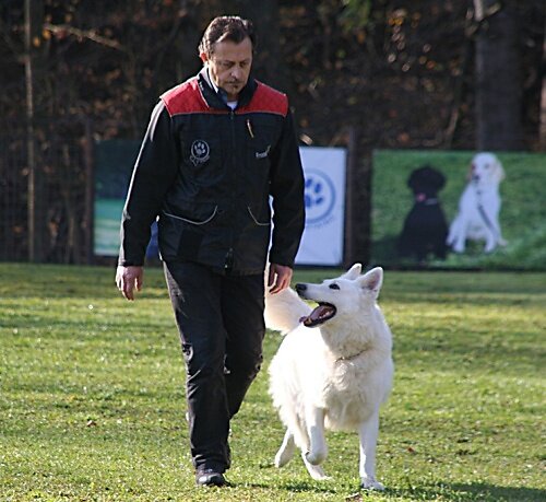 2013-p-11-140.jpg