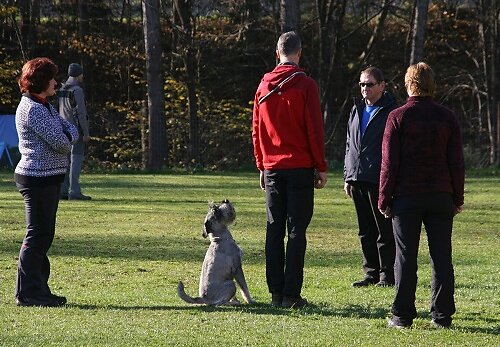 2013-p-11-169.jpg