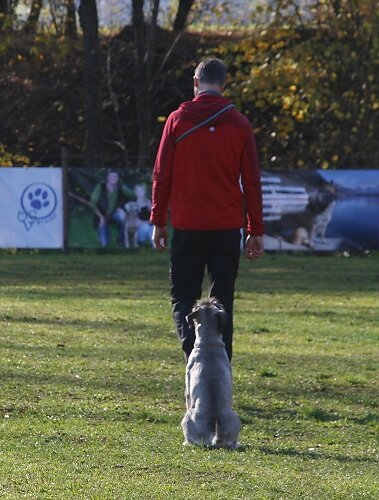 2013-p-11-171.jpg