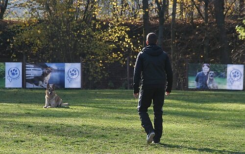 2013-p-11-185.jpg