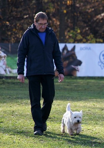 2013-p-11-010.jpg