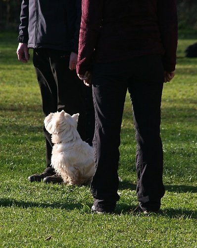 2013-p-11-011.jpg