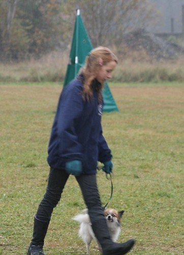 2009-p-11-034.jpg