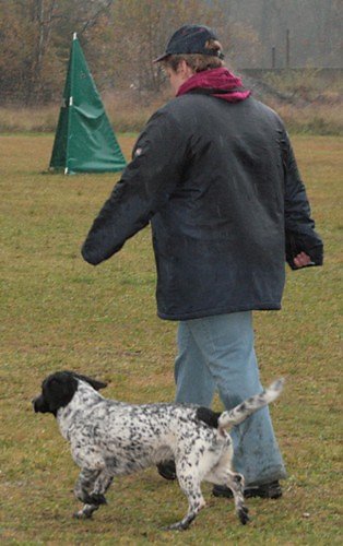 2009-p-11-083.jpg