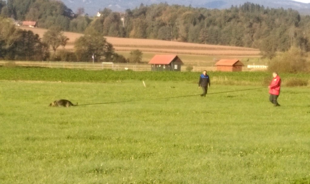 IMAG0613.jpg