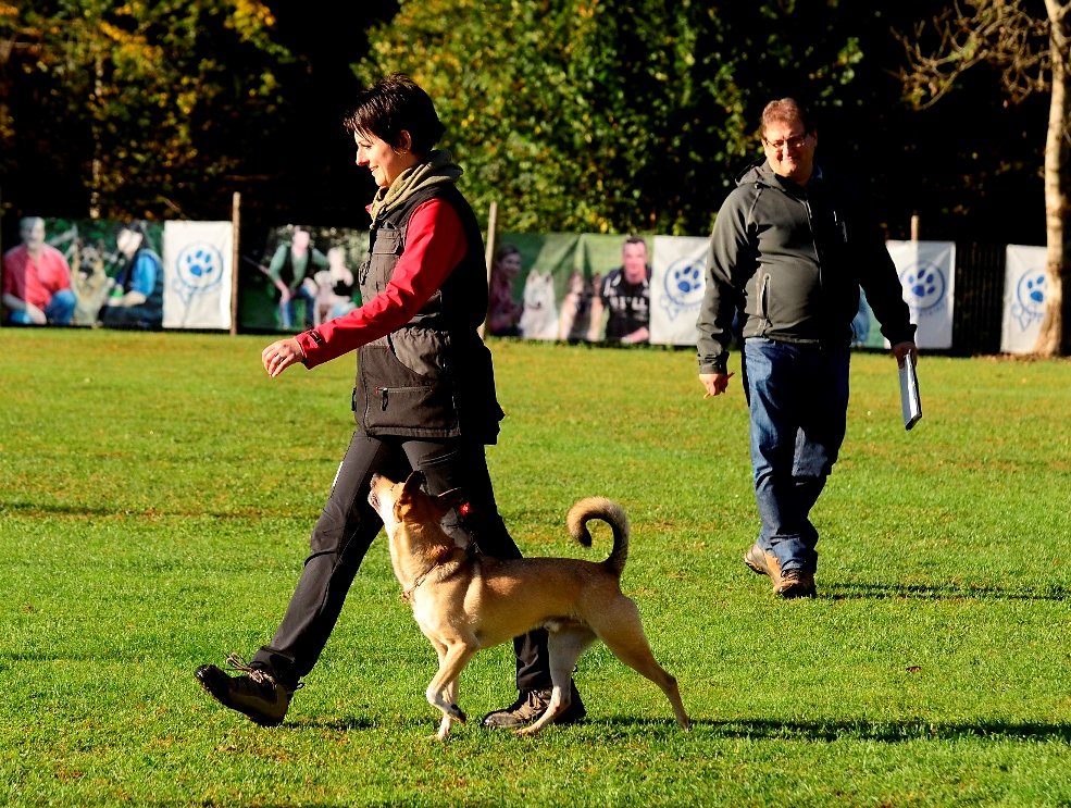 DSC7001.JPG