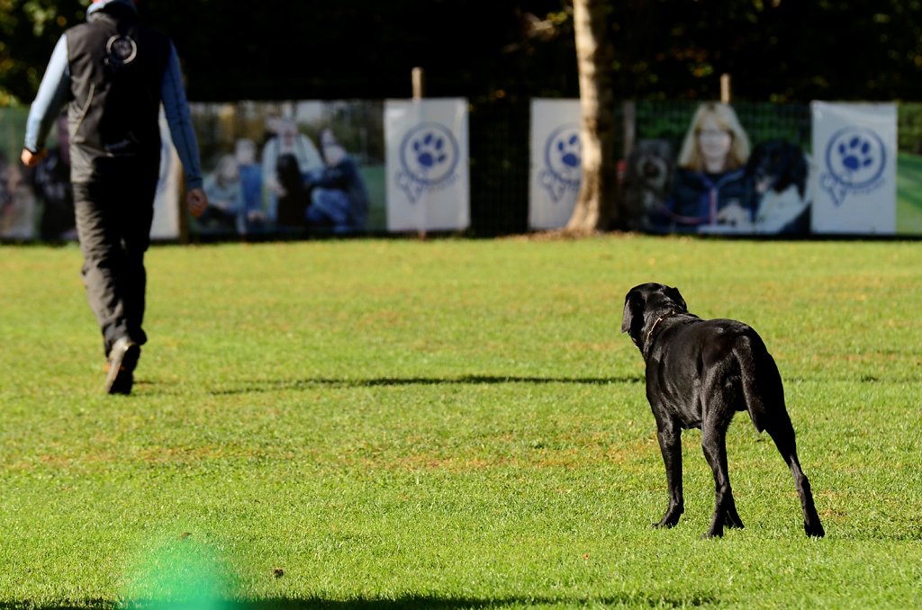 DSC7279.JPG