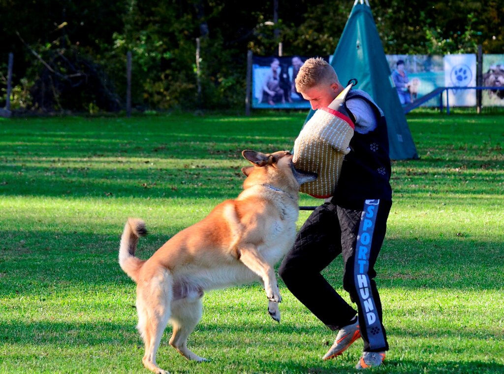 DSC8550.JPG