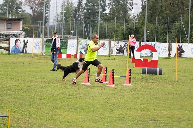 IMG-9879.jpg